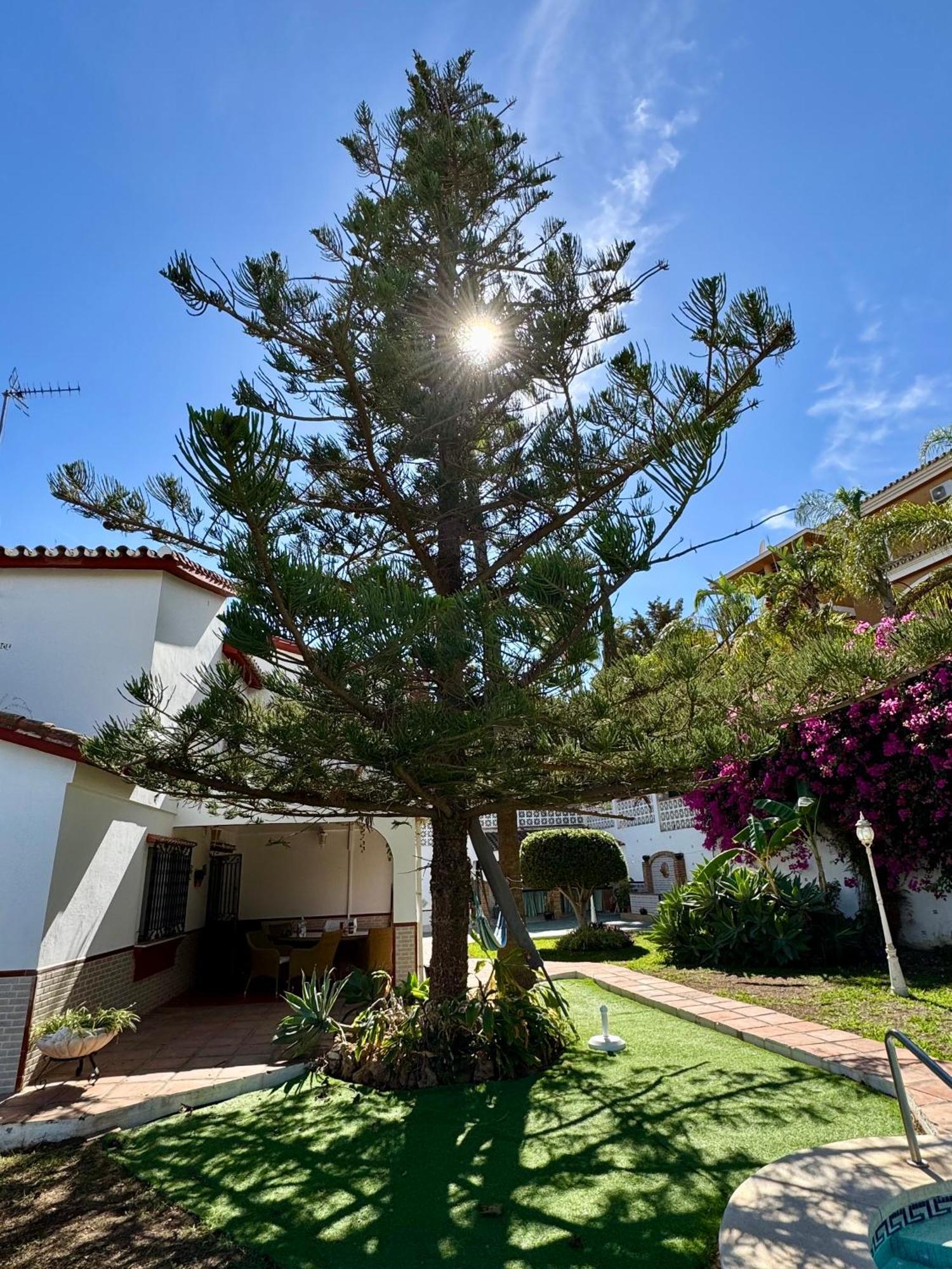 La Casa De Pintor Apartment Benalmadena